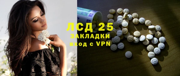 индика Алзамай