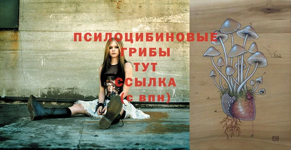 индика Алзамай