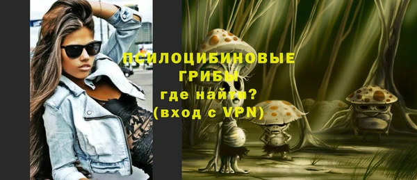 индика Алзамай