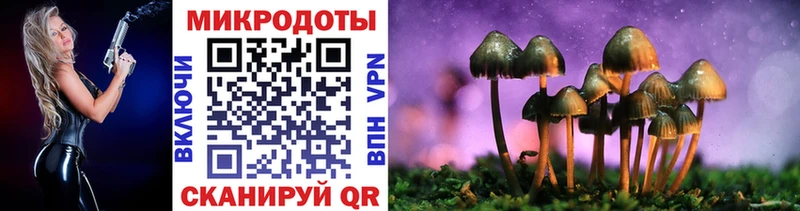 Псилоцибиновые грибы Psilocybine cubensis  купить наркотик  Белебей 